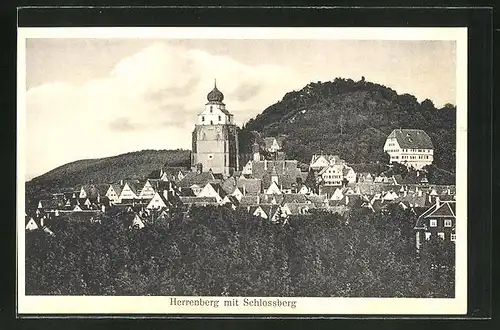 AK Herrenberg, Ortsansicht mit Schlossberg