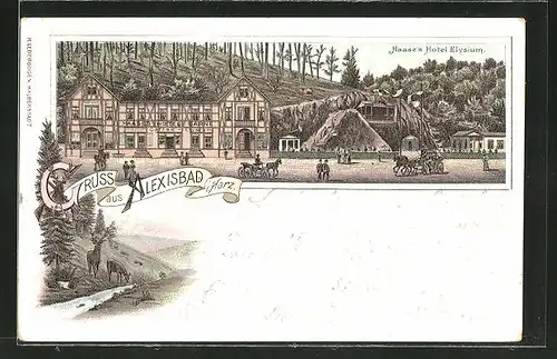 Lithographie Alexisbad i. Harz, Haase's Hotel Elysium