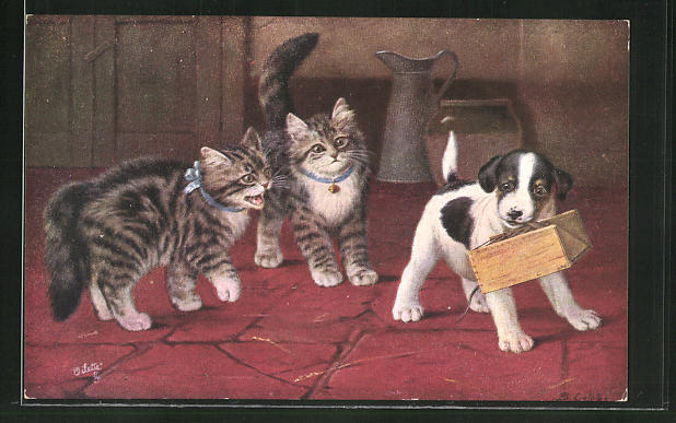 Ak Katze Faucht Hund Mit Holzkiste An