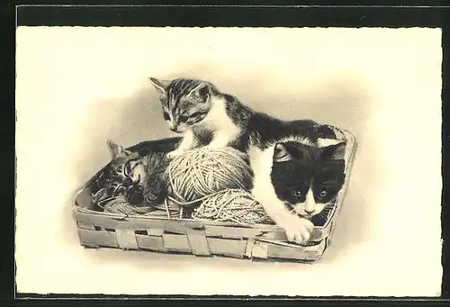 AK drei Katzen in einem Korb mit Wollknaul