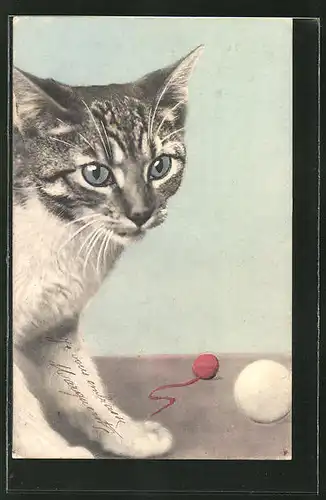 AK Katze mit Ball und Wollknäuel