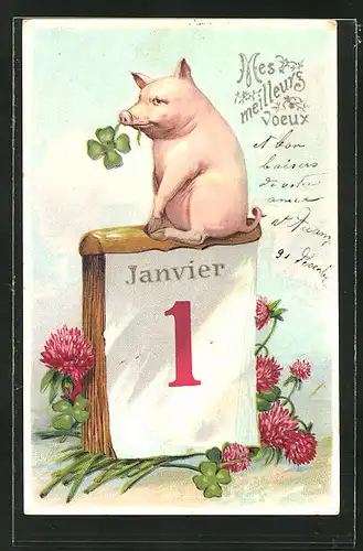 AK Neujahrsgruss, Schwein sitzt auf einem Kalender