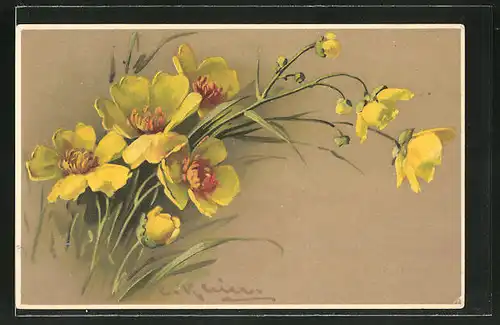 Künstler-AK Catharina Klein: gelbe Blumen im hohen Gras