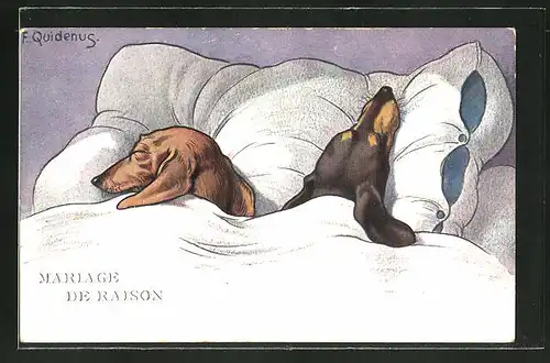 Künstler-AK Fritz Quidenus: Mariage de Raison, schlafende Dackel in einem Bett