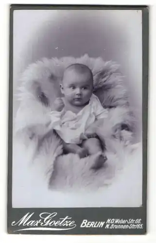 Fotografie Max Goetze, Berlin, Portrait Säugling in Leibchen