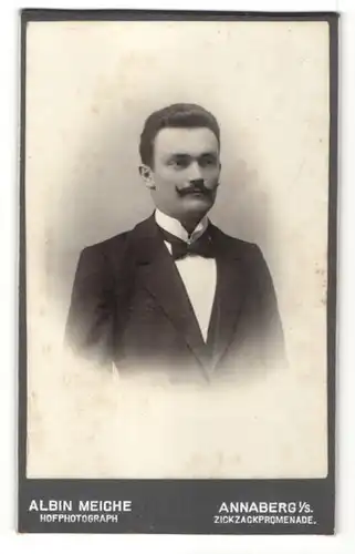 Fotografie Albin Meiche, Annaberg i/S, Portrait junger Herr in Abendgarderobe