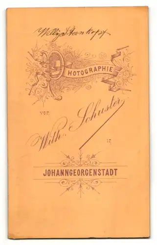 Fotografie Wilh. Schuster, Johanngeorgenstadt, Portrait Knabe in Anzug