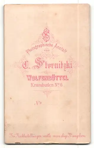 Fotografie C. Sternitzki, Wolfenbüttel, Portrait junger Mann in zeitgenöss. Kleidung