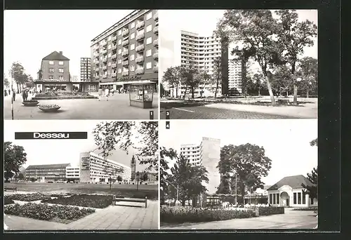 AK Dessau, Wilhelm-Pieck-Strasse, Hochhäuser am Stadtpark, HO-Gaststätte & Intim-Bar Teehäuschen im Stadtpark