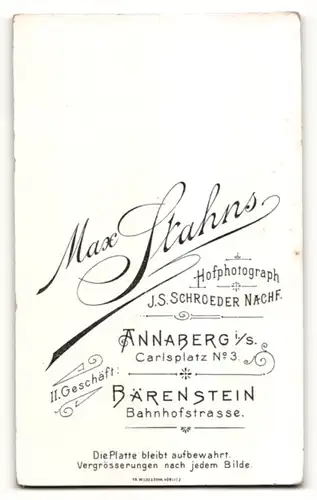 Fotografie Max Stahns, Annaberg i/S & Bärenstein, Portrait junger Mann in Abendgarderobe