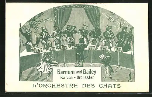 AK Zirkus Barnum & Bailey Katzen-Orchester