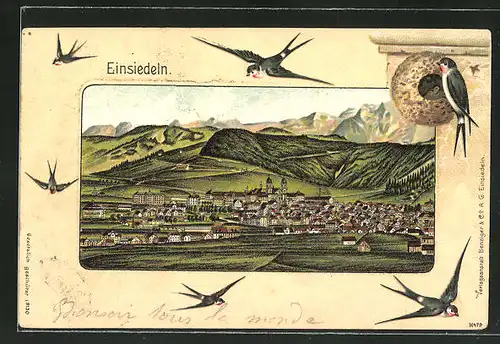 Lithographie Einsiedeln, Panoramablick auf den Ort, Schwalben