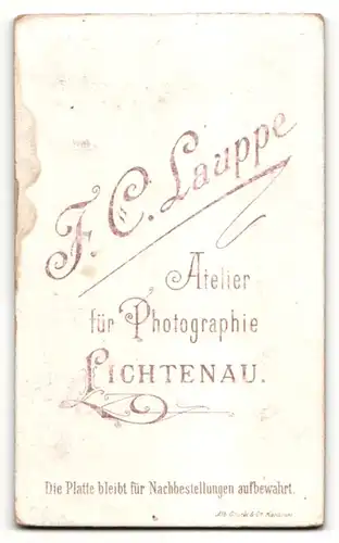 Fotografie F. C. Lauppe, Lichtenau, Frau im Kleid mit Hochsteckfrisur