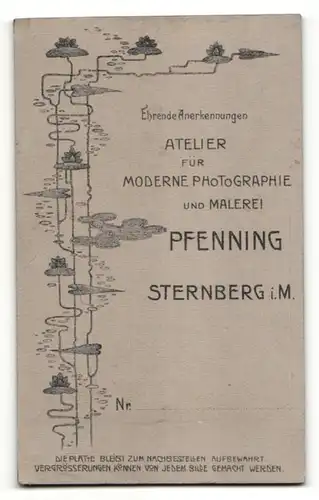 Fotografie Atelier Pfenning, Sternberg i. M., Student im Anzug