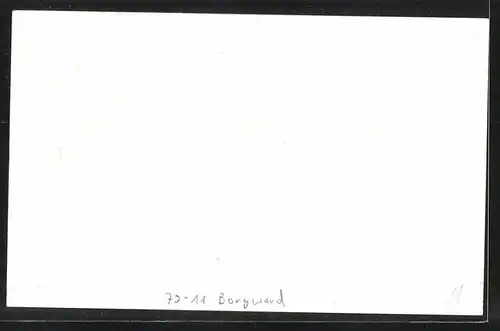 Fotografie Auto Borgward, Edelmann & Damen im PKW, Kfz-Kennzeichen AE29-5090