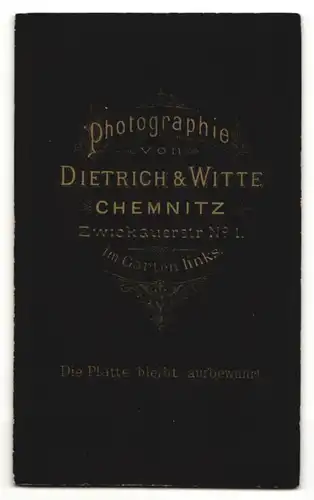 Fotografie Dietrich und Witte, Chemnitz, Junger Mann im Anzug mit Bart und Scheitel