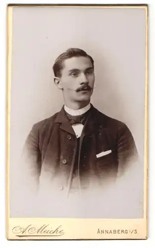 Fotografie A. Meiche, Annaberg i/S, Portrait junger Herr in Anzug