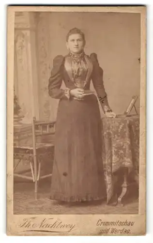 Fotografie Th. Nachtwey, Crimmitschau & Werdau, Portrait junge Frau in festlichem Kleid