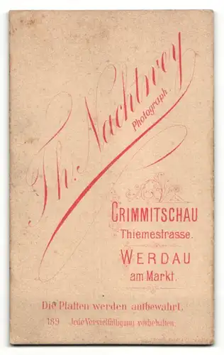 Fotografie Th. Nachtwey, Crimmitschau & Werdau, Portrait junge Frau in festlichem Kleid