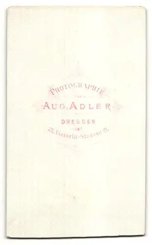 Fotografie Aug. Adler, Dresden, Portrait Fräulein mit zusammengebundenem Haar
