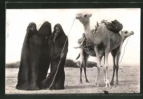AK Mauritanie, Femmes Maures a la corvee de bois