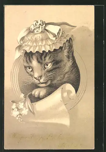Präge-Lithographie Vermenschlichte Katze mit Blume und Haube