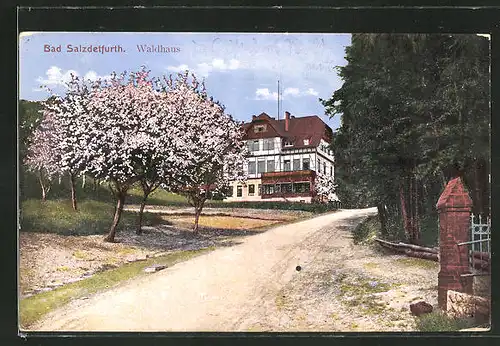 AK Bad Salzdetfurth, Strassenpartie mit Kirschbäumen und Gasthof Waldhaus