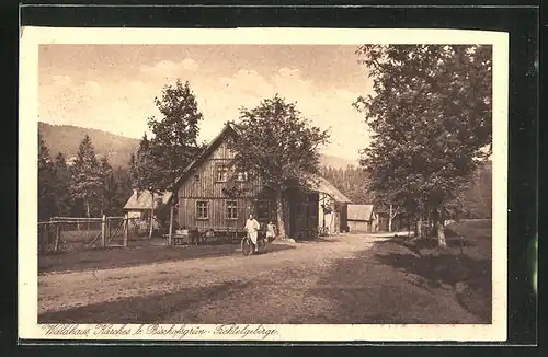 AK Bischofsgrün i. Fichtelg., Gasthof-Waldhaus Karches