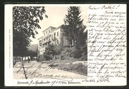 AK Herrenalb, Hotel Villa Falkenstein, Strassenpartie mit Gebäudeansicht