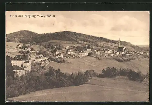 AK Freyung v. W., Panoramablick auf den Ort