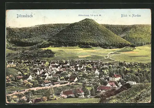 AK Ditzenbach, Ortspanorama mit Blick auf Hiltenburg