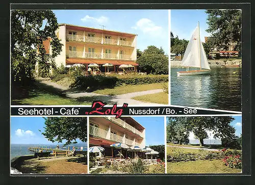AK Nussdorf / Bodensee, Seehotel-Café "Zolg" mit Gartenterrasse