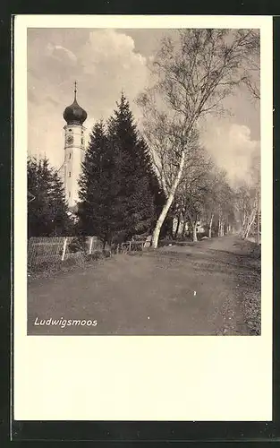 AK Ludwigsmoos, Allee-Strasse mit Blick auf die Kirche