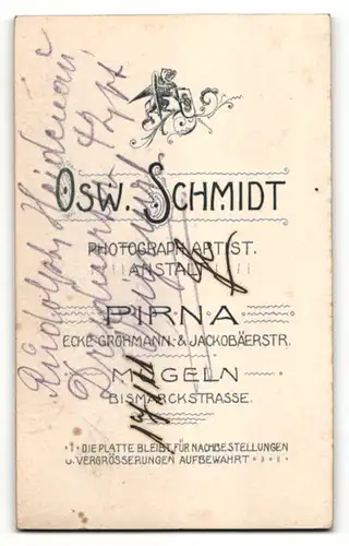 Fotografie Osw. Schmidt, Pirna & Mügeln, Portrait Knabe in festlichem Anzug