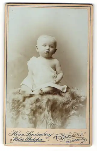 Fotografie Herm. Lindenberg, Dresden-A., blondes süsses Kleinkind im weissen Kleidchen mit nackten Füssen