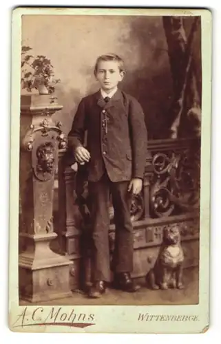 Fotografie A. C. Mohns, Wittenberge, Portrait Knabe in Anzug