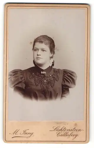 Fotografie M. Jung, Lichtenstein-Callnberg, Portrait junge Dame mit zusammengebundenem Haar