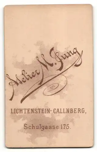 Fotografie M. Jung, Lichtenstein-Callnberg, Portrait junge Dame mit zusammengebundenem Haar