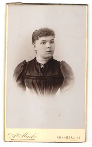 Fotografie A. Meiche, Annaberg i/S, Portrait Frau mit zusammengebundenem Haar