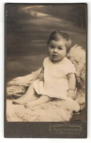Fotografie Max Lohauss, Suhl, zuckersüsses kleines Mädchen im weissen Kleidchen auf Felldecke sitzend