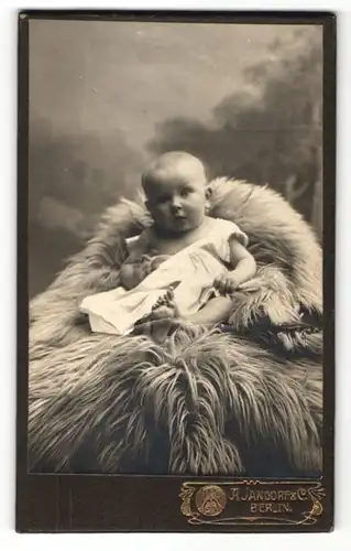 Fotografie A. Jandorf & Co., Berlin, Portrait Säugling in Leibchen