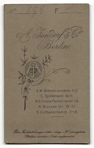 Fotografie A. Jandorf & Co., Berlin, Portrait Säugling in Leibchen