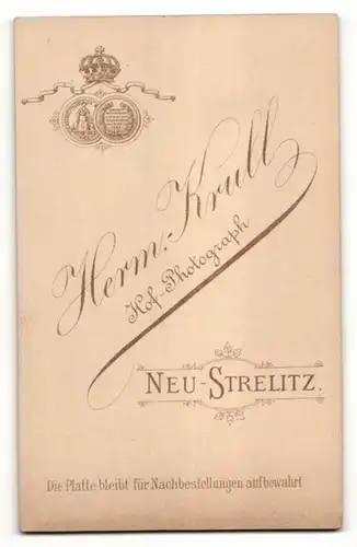 Fotografie H. Krull, Neustrelitz, Portrait chamante junge Frau mit Broschen in bestickter Bluse