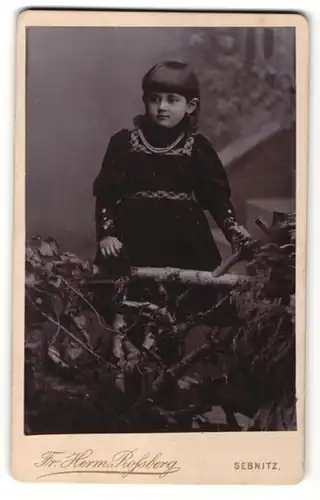 Fotografie Herm. Rossberg, Sebnitz, Portrait dunkelhaariges Mädchen in Kleid