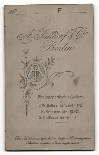 Fotografie A. Jandorf & Co., Berlin, Portrait Herr mit Oberlippenbart