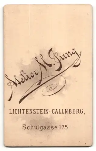 Fotografie M. Jung, Lichtenstein-Callnberg, Portrait Fräulein in festlicher Kleidung