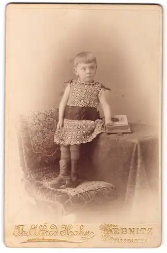 Fotografie Th. Alfred Hahn, Sebnitz, Portrait kleines Mädchen mit Fotoalbum