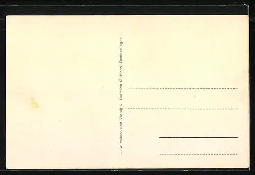 AK Immendingen / Breisgau, Krankehaus mit Parkanlage