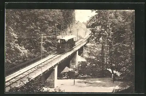 AK Heidelberg, Bergbahn zum Königstuhl, Viadukt bei der Molkenkur