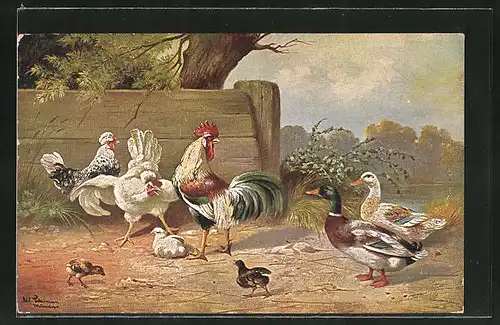 Künstler-AK Alfred Schönian: Hühner, Hahn und Enten mit Küken